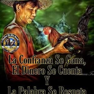 Meet your Posher, Roberto